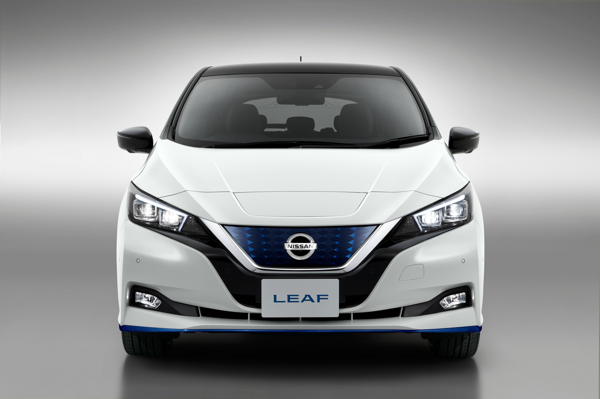 Официальные продажи Nissan Leaf в Украине стартуют уже этим летом